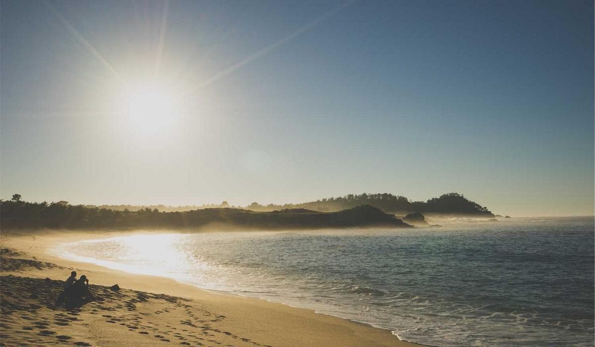 Together Protecting The Earth For Future Generations