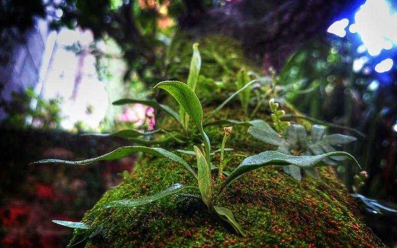 Help Children Achieve Their Dreams Through Education