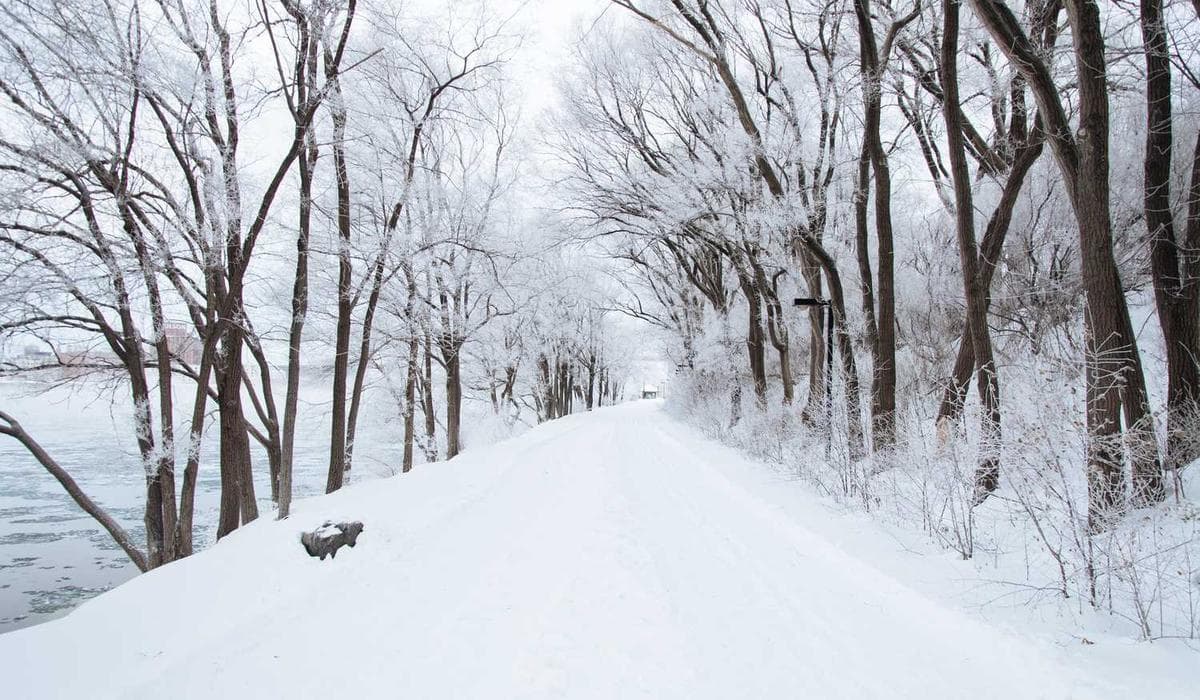 Help The Hungry With Food Packages